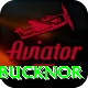 steve bucknor Pro Edition v3.1.3