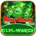 steve waugh Gold Edition v2.7.5
