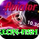 sturgeon fish App