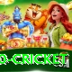 t20 cricket Pro Max v4.2.6