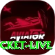 test cricket live Deluxe v5.5.3
