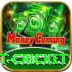 test cricket Premium v4.2.4