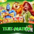 test match Pro1 v1.7.4