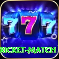 to day cricket match Gold Edition v4.5.3