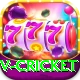v cricket Ultimate v1.5.2