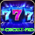v cricket Mobile Champion