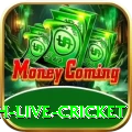 watch live cricket Games (Casino & Earning) Premium v2.7.7