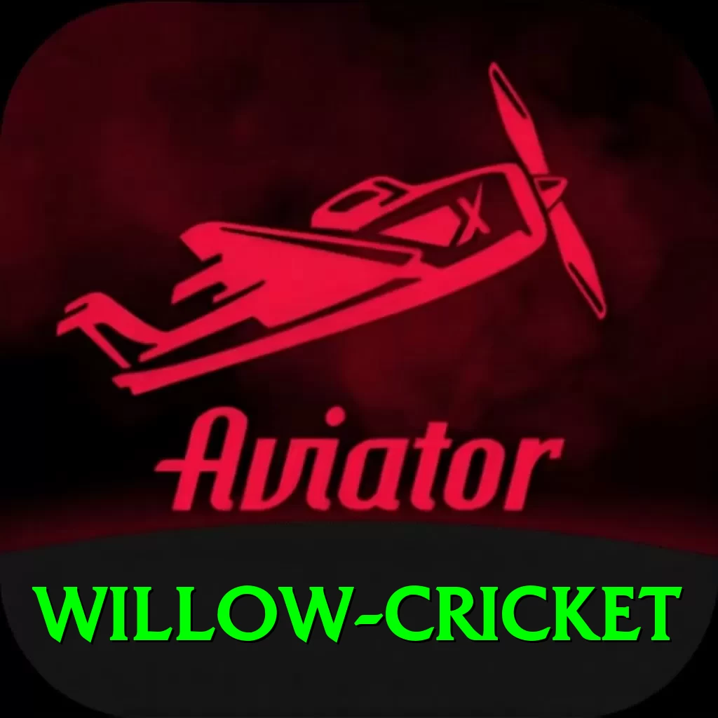 willow cricket Max Pro v1.1.0 - 2