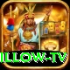 willow tv Pro Edition v2.0.5